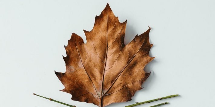 shutterstock_394255891