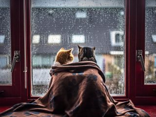 stock-photo-151463427