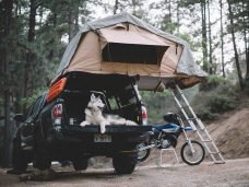 stock-photo-155789633